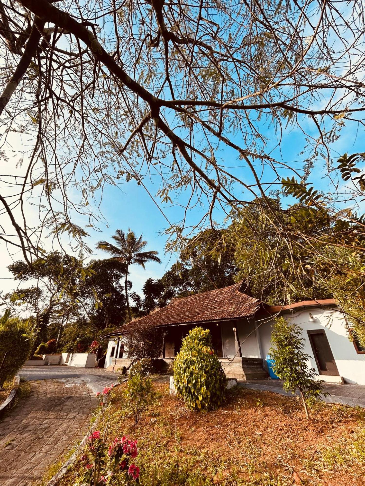 Silent House Kudayattur Exterior foto